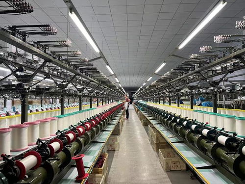 用好 數(shù)字化出海口 山東周村絲綢通過(guò)阿里國(guó)際站出海全球50多國(guó)