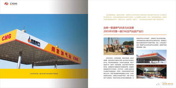 淄博誠(chéng)意燃?xì)馐苣戤?huà)冊(cè)設(shè)計(jì) 奧臣策劃設(shè)計(jì)