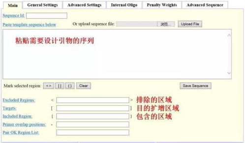 設計引物怕踩坑？這3款在線軟件輕松掃雷——淄博軟件設計指南